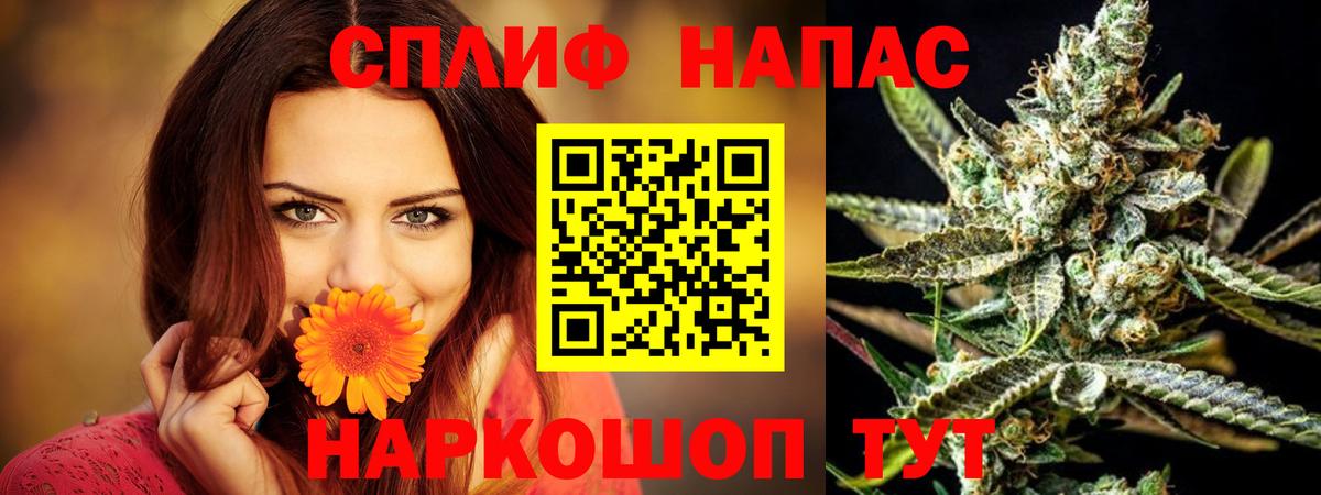 Бошки Шишки сатива Кыштым